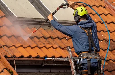 Démoussage et hydrofuge de toiture à Reynel